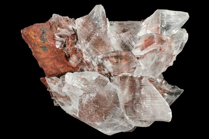 Glassy Selenite Crystal Cluster - Naica Mine, Mexico #372162